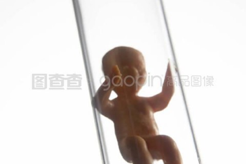 http://ningbo.nbgk120.com/post/209.html|宁波捐卵费用